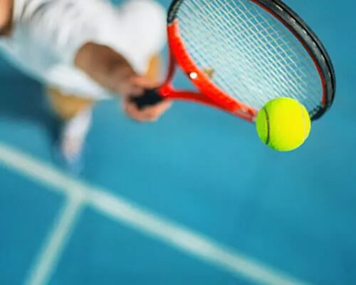 Badminton Court